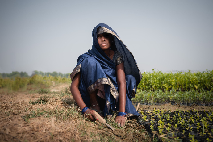 portrait of a rural Indian woman working at a tree nursery taken by mainspring agency director Ben Hemmings