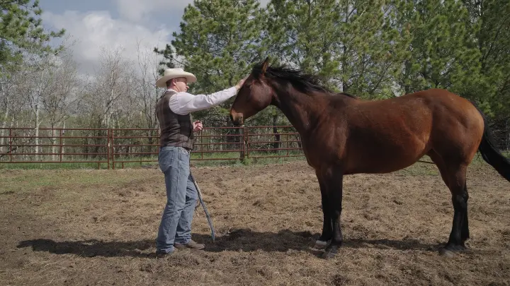 North Dakota farmer pets a horse, still taken from Mainspring Agency film, Potholes