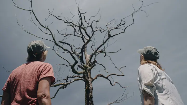 A University of Martland researcher and a landowner look at a dead tree which was killed by salt water intrusion. Still taken from Salted Earth by Mainspring Agency
